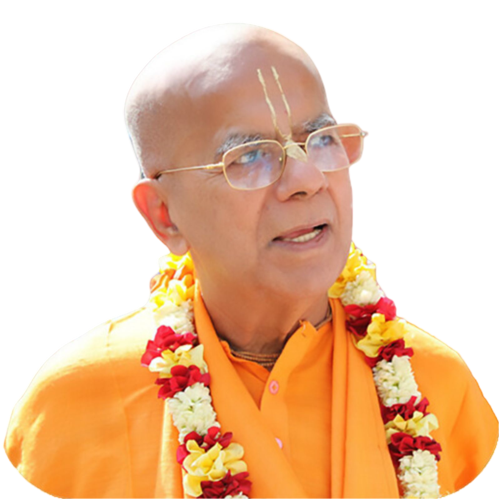 HH Gopal Krishna Goswami